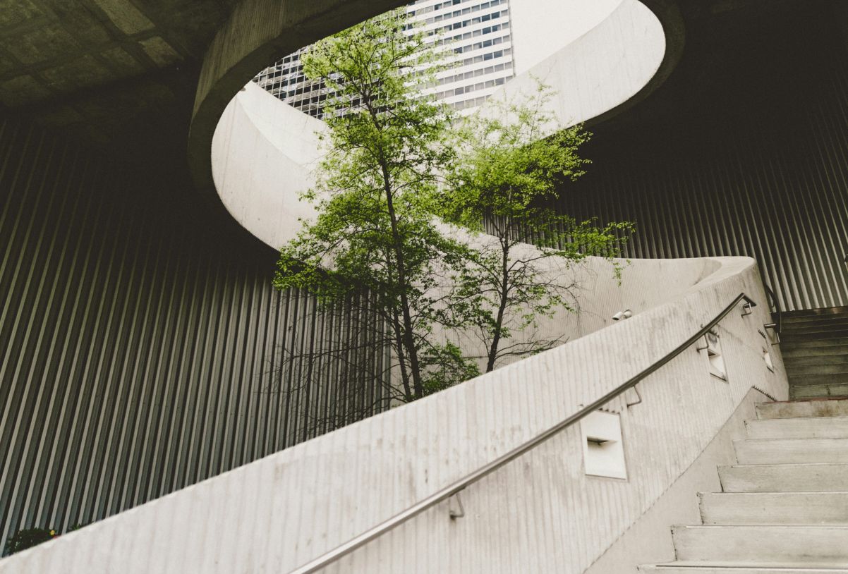 Tree in building